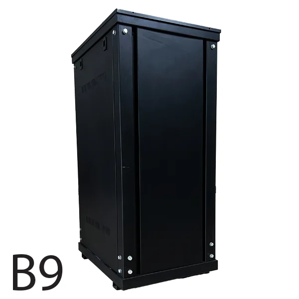 b9